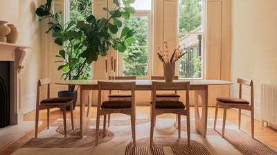 Discover the perfect dining chair style for your home