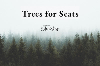 TREES FOR SEATS